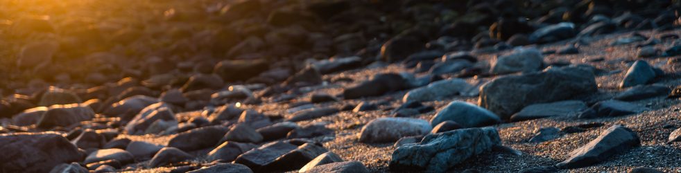 The Light for My Path