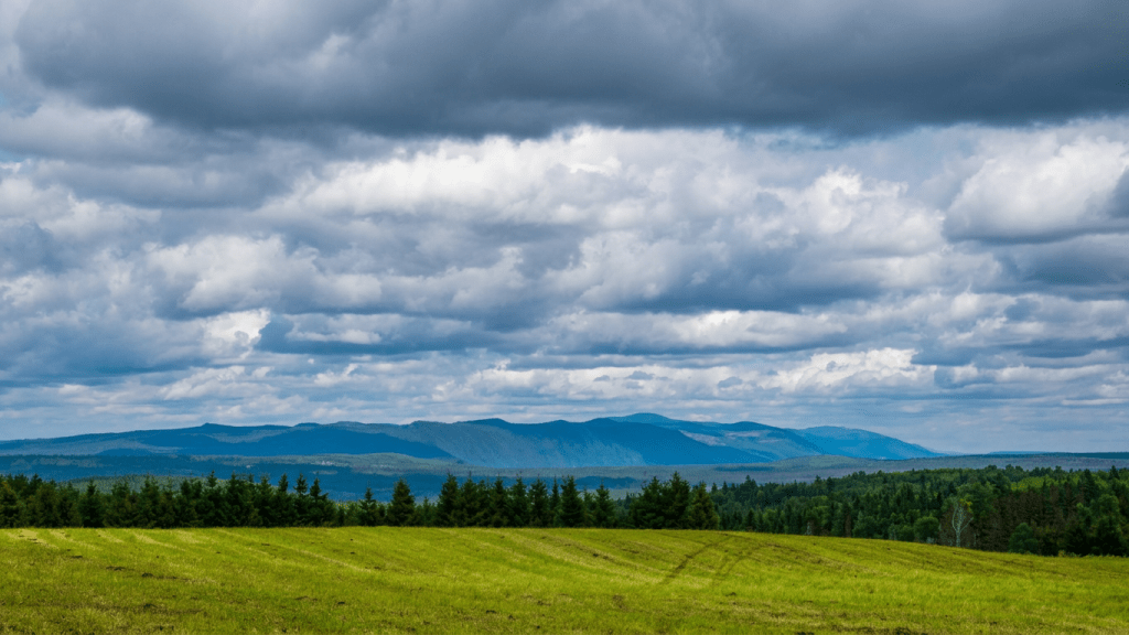 _DSC1561-2